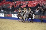 Quadrille - 00934